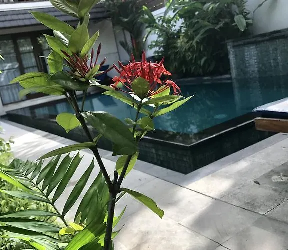 Mudha 3 2* Sanur